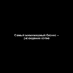 Самый мимимишный бизнес – разведение котов Самый мимимишный бизнес – разведение котов