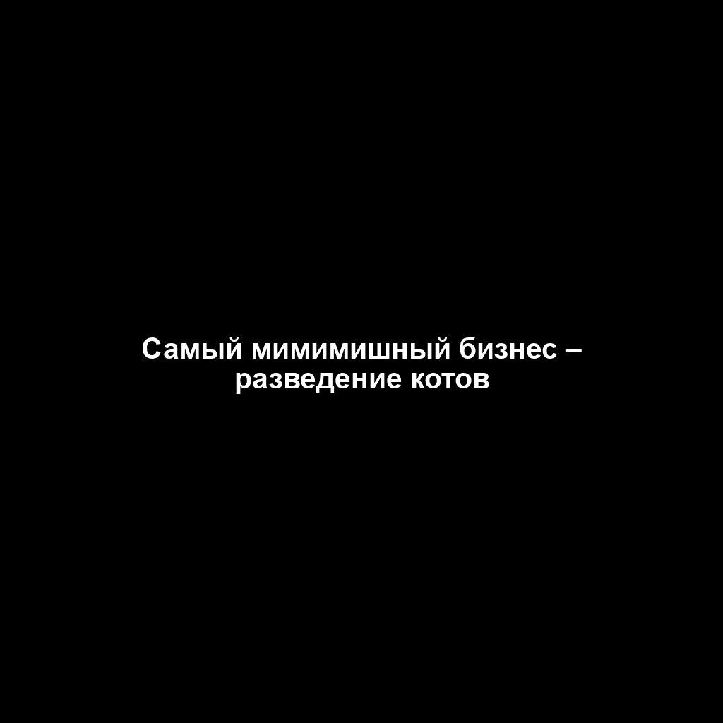 Самый мимимишный бизнес – разведение котов