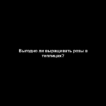 Выгодно ли выращивать розы в теплицах? Выгодно ли выращивать розы в теплицах?