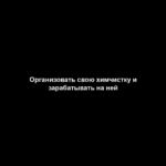 Организовать свою химчистку и зарабатывать на ней